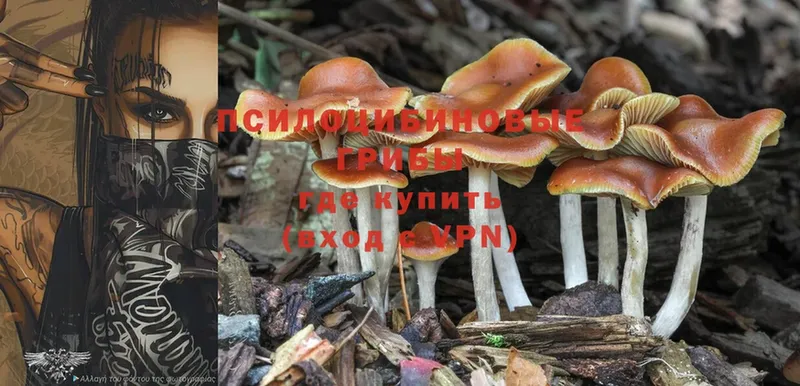 Псилоцибиновые грибы MAGIC MUSHROOMS  Родники 